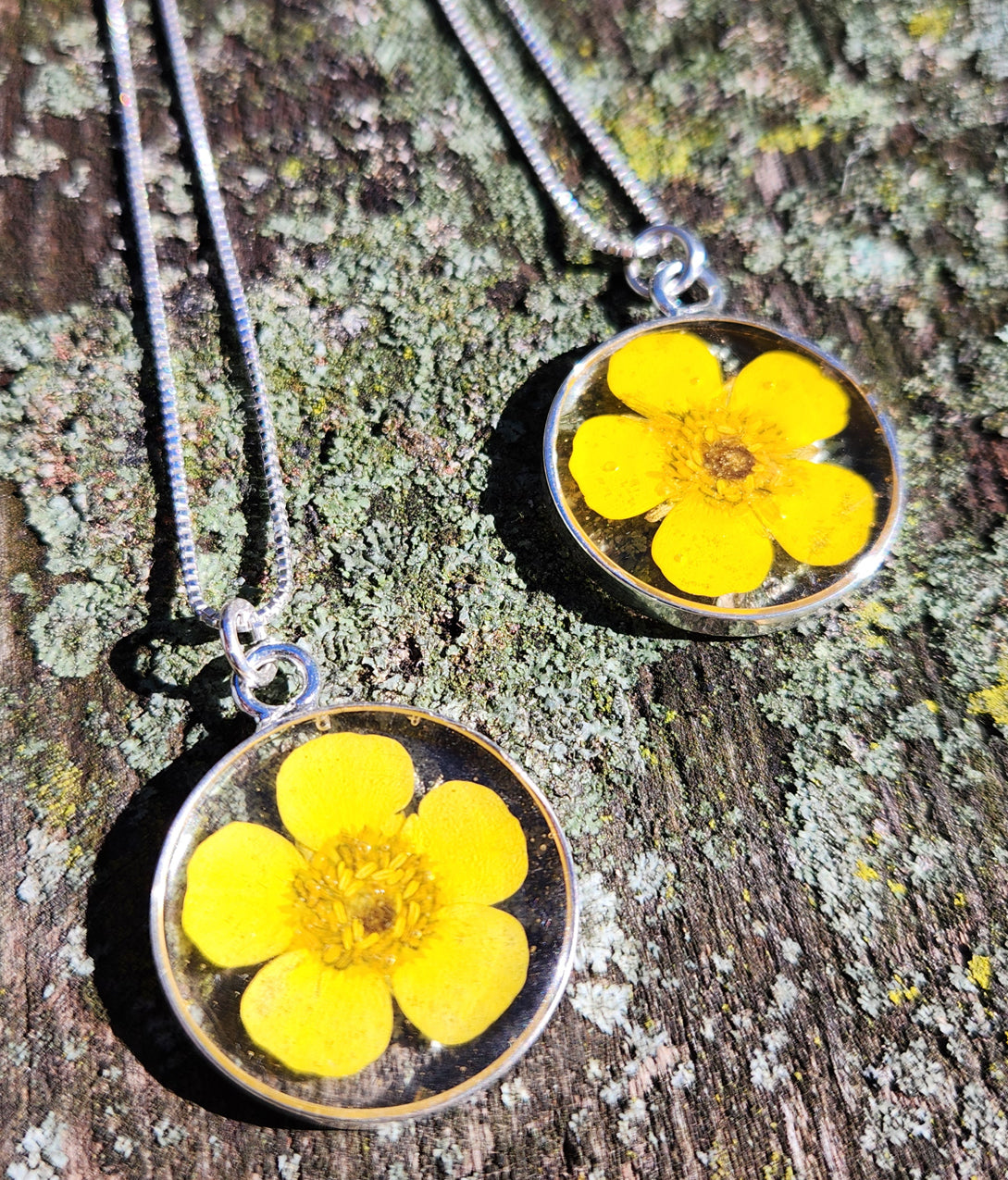 Necklace - Buttercup Flower in a Round Silver Bezel