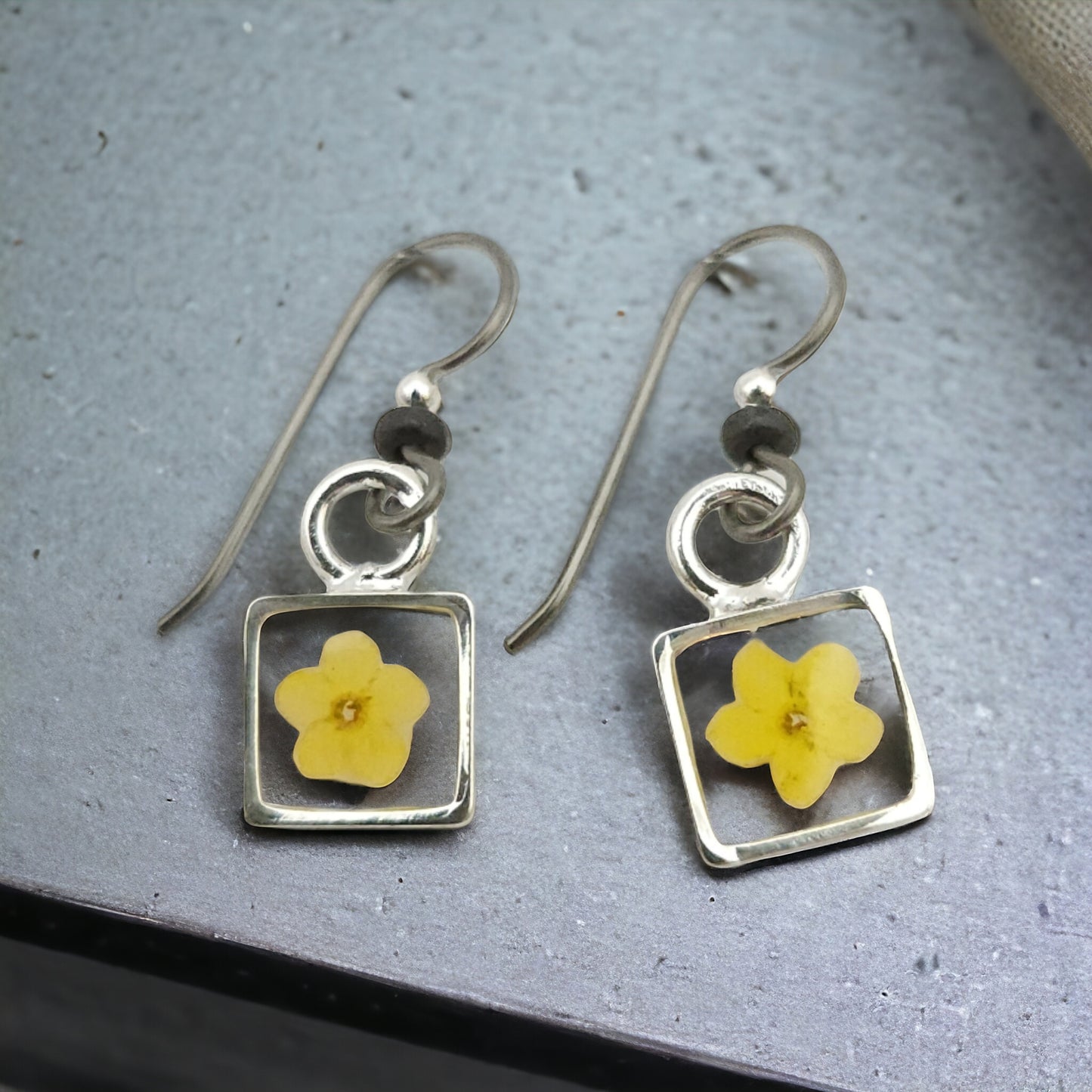 Forget-me-nots Yellow Earrings In Tiny Silver Bezel