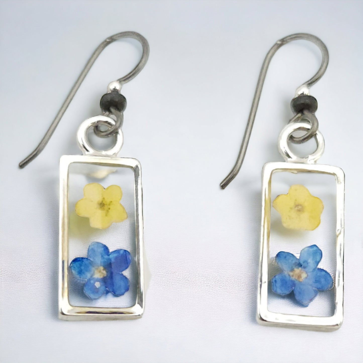Forget-me-not Blue and Yellow Flower Earrings In Small Silver Bezel