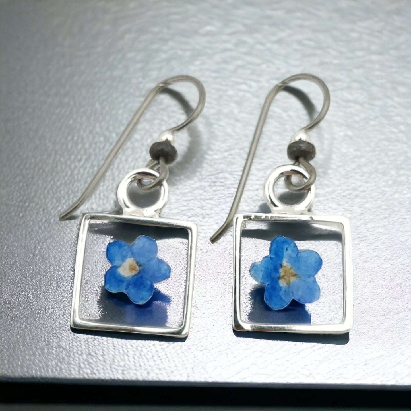 Forget-me-nots Blue Flower Earrings In Silver Bezel