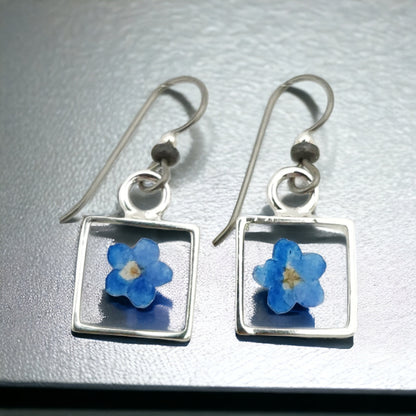 Forget-me-nots Blue Flower Earrings In Silver Bezel