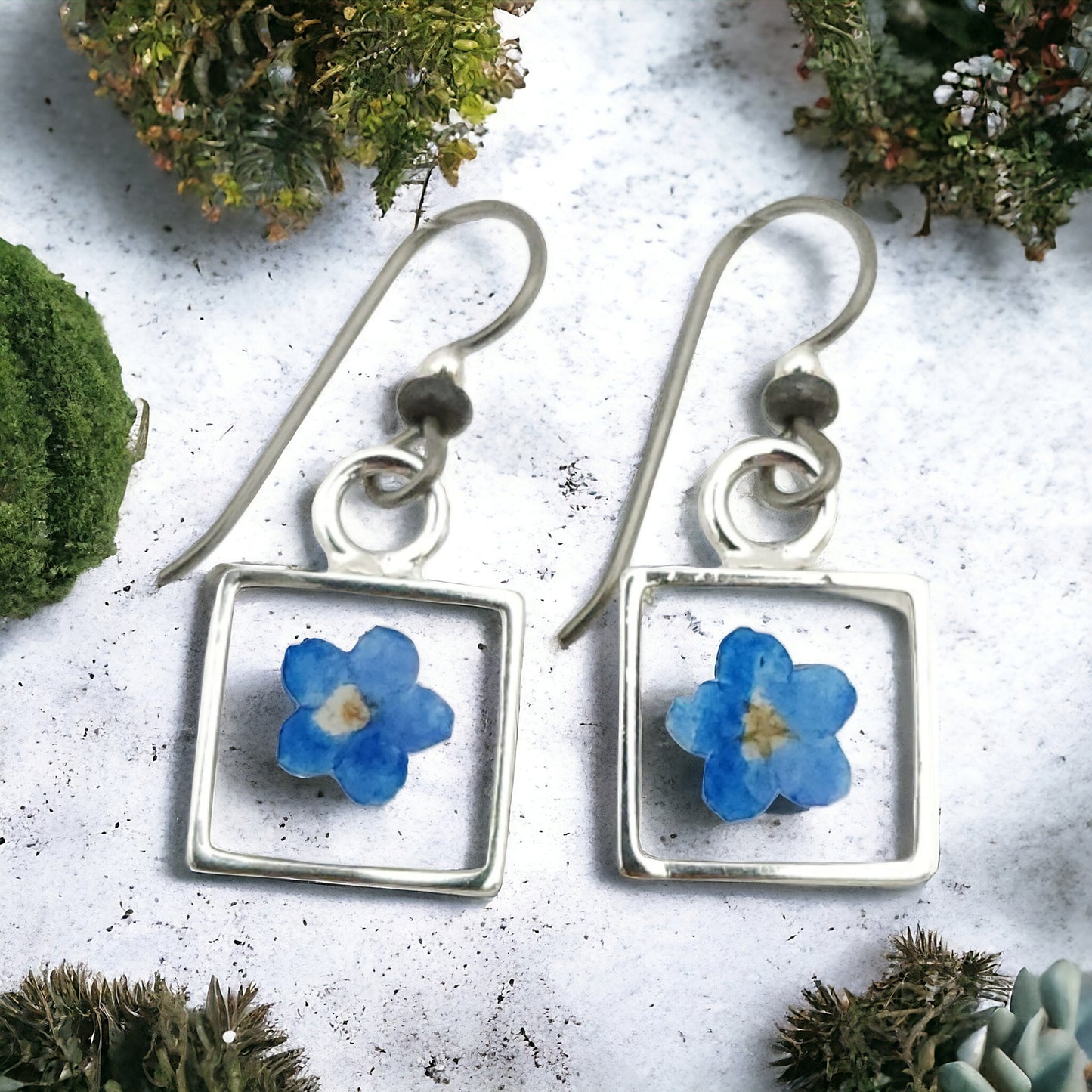 Forget-me-nots Blue Flower Earrings In Silver Bezel