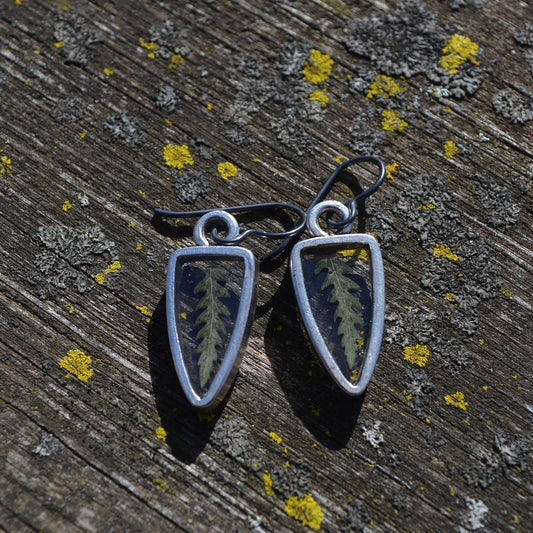 Fern Earrings In Silver Bezel